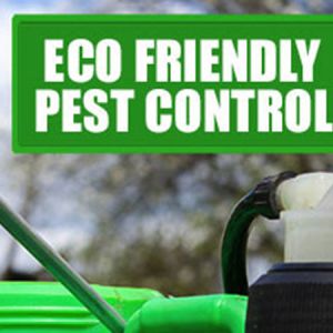 ECO